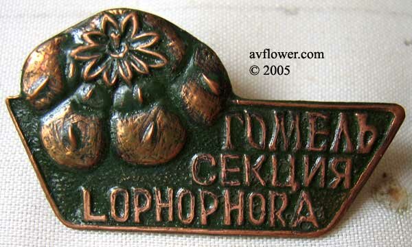 The badge from collection