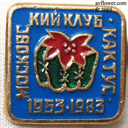 The badge from collection