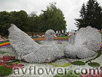 огромные голуби из цветов