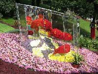 цветы и стекло