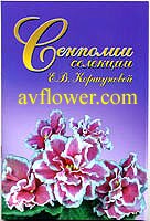Russian hybridizer Korsunova - pictures of her EK violets